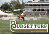 Budget Turf