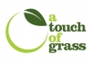A Touch of Grass