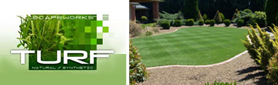 Installation of Synthetic and Instant Turf