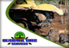 Outback Tree Services