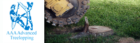 Treelopping & Stump Grinding