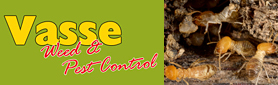 Need to Get Rid of Pests? Contact Us For a Free Quote! 