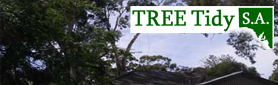 Tree Feller & Arborist Services