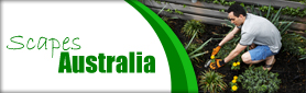 Scapes Australia - Weed Control