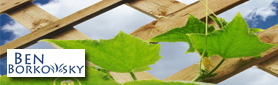 Garden & Lawn Mowing Services