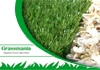 Grassmania