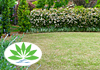 Soul Havens Landscape Design - Landscaping Construction