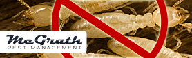 McGrath Pest Management - For A Thorough Pest Control Service