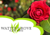 Wattle Grove Plant Farm