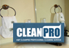 Professional Cleaning - Let Us Do It For You!