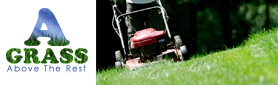 Is Your Lawn Out Of Control!