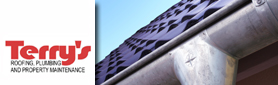 Guttering Services