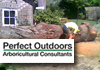 Professional Tree Lopping & Stump Grinding Services.