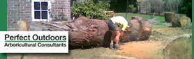 Professional Tree Lopping & Stump Grinding Services.