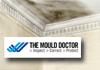 The Mould Doctor
