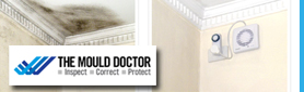 Mould Removal