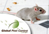 Global Pest Control
