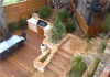 Mother Natures Landscapes Pty Ltd