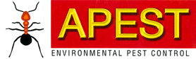 Apest Pty Ltd