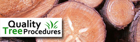 Professional & Certified Tree Feller & Arborist Services