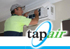 Tapair