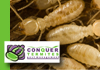 Conquer Termites Northside