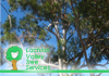 Lachlan Valley Tree Services