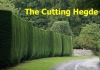 The Cutting Hedge