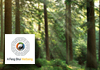 A Feng Shui Wellbeing