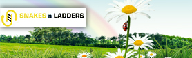 Snakes n Ladders Environmental Pest Services