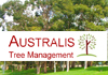 Australis Tree Management