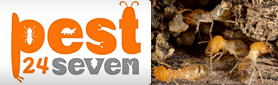 Pest 24 Seven - Pre-Purchase Pest Inspections