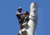 Australian Heritage Tree Works