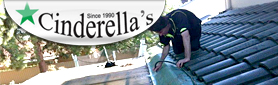Professional Gutter Cleaning Service to Homes & Businesses in Adelaide
