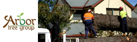 Arbor Tree Group - Tree Feller & Arborist Servcies