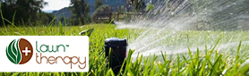 Lawn Therapy - Gardeners & Landscapers