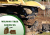 Wilsons Tree Service (NSW) Pty Ltd