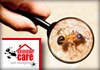 Critical Care Pest Management