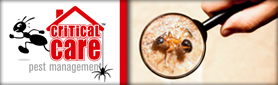 Critical Care Pest Management