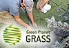 Green Planet Grass