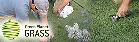 Quality Australian made Synthetic grass!
