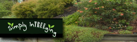 Simply Intreeging - Landscaping Services