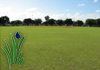 Fine Turf Management