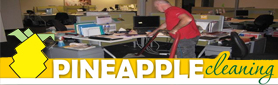 Pineapple Cleaning Services - Commercial Cleaning Services