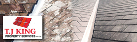 Roofing & Roof Repair Services