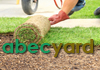 abecyard