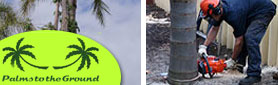 Palms to the Ground - Tree Felling