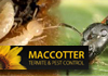 MacCotter Termite & Pest Control