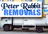 Peter Rabbit Removal