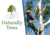 Naturally Trees